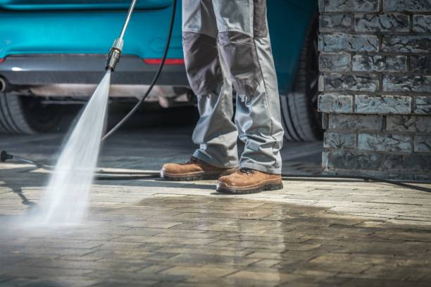Best Driveway Pressure Washing  in St Anthony, MN