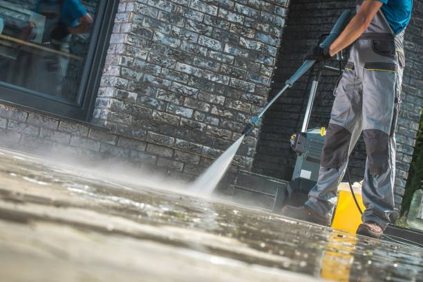 Best Graffiti Removal  in St Anthony, MN